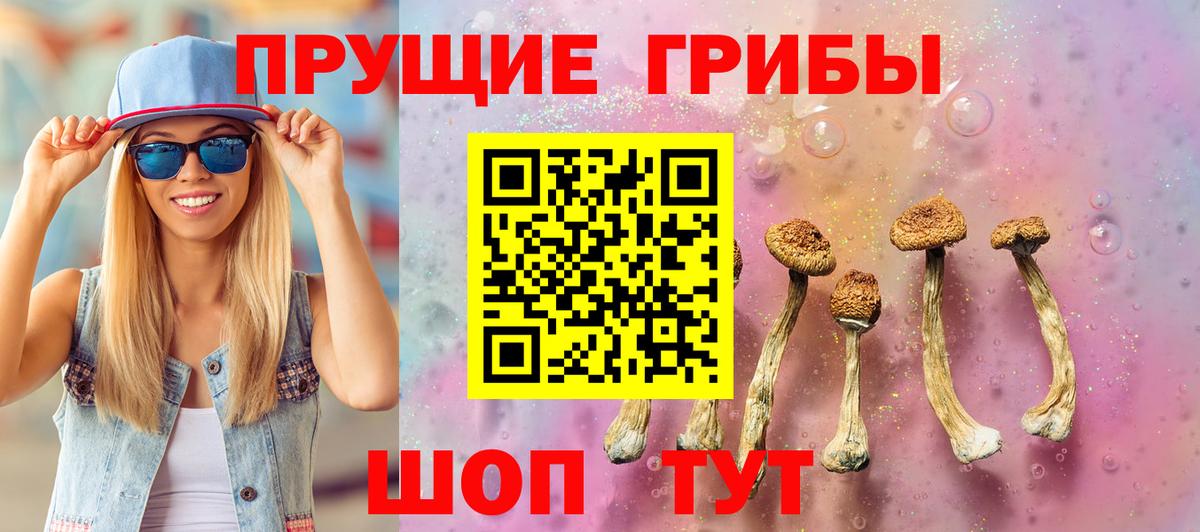 Псилоцибиновые грибы ЛСД  Вход с VPN  закладка  Междуреченск 