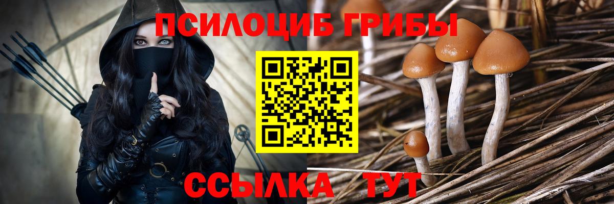 Галлюциногенные грибы мицелий Междуреченск